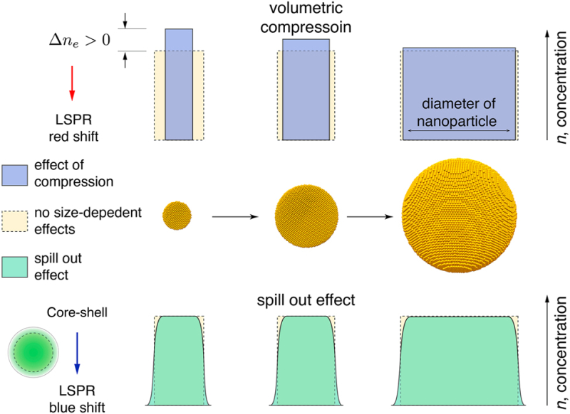 The accompanying schematic illustrates two key processes occurring in ultrafine metal nanoparticles: size-dependent volumetric compression and spill-out effects. These phenomena significantly influence the distribution of electron density within the particles and determine the spectral position of the maximal localized surface plasmon resonance. Image courtesy of the researchers
