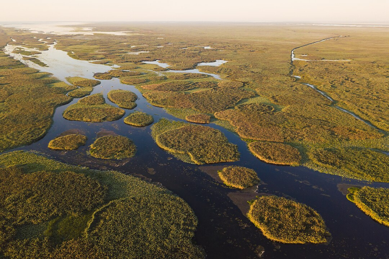 Credit: Ted.ns / Wikimedia Commons / CC BY-SA 4.0
