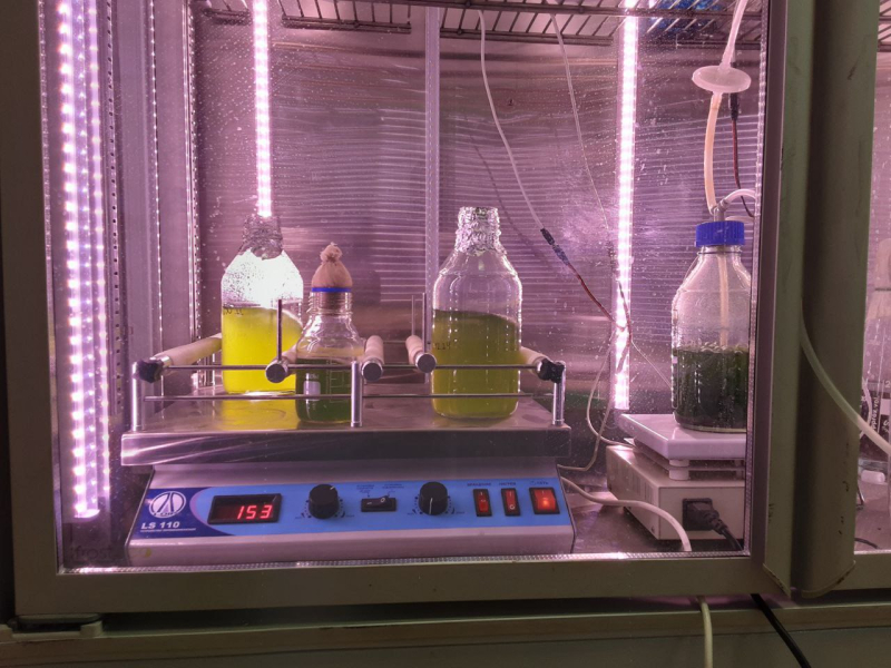 Установка для работы с микроводорослями. Фото предоставлено учеными
