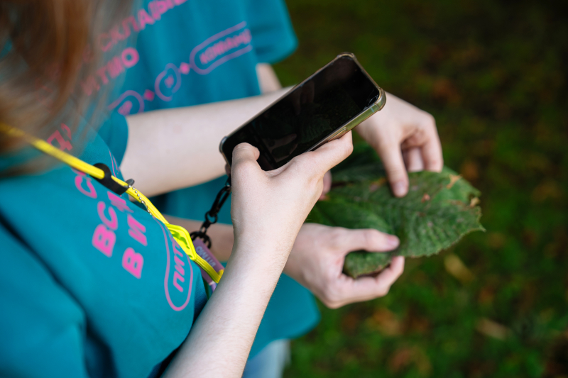 Волонтеры фотографируют листья каштанов для проекта «Каштановый компас». Фото: Никита Селиверстов

