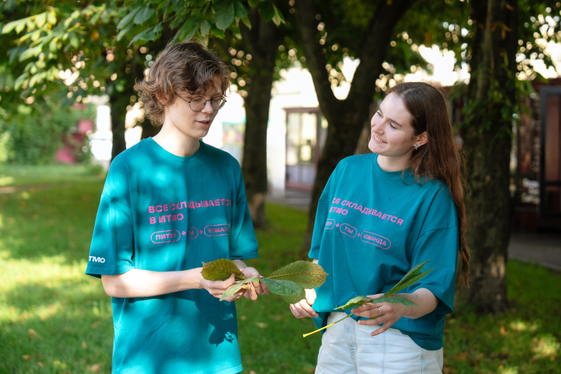 Волонтеры фотографируют листья каштанов для проекта «Каштановый компас». Фото: Никита Селиверстов
