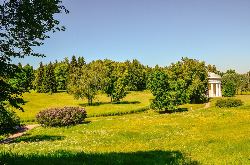Pavlovsk Park. Credit: Александровы АГ / Wikimedia Commons / CC BY-SA 4.0 
