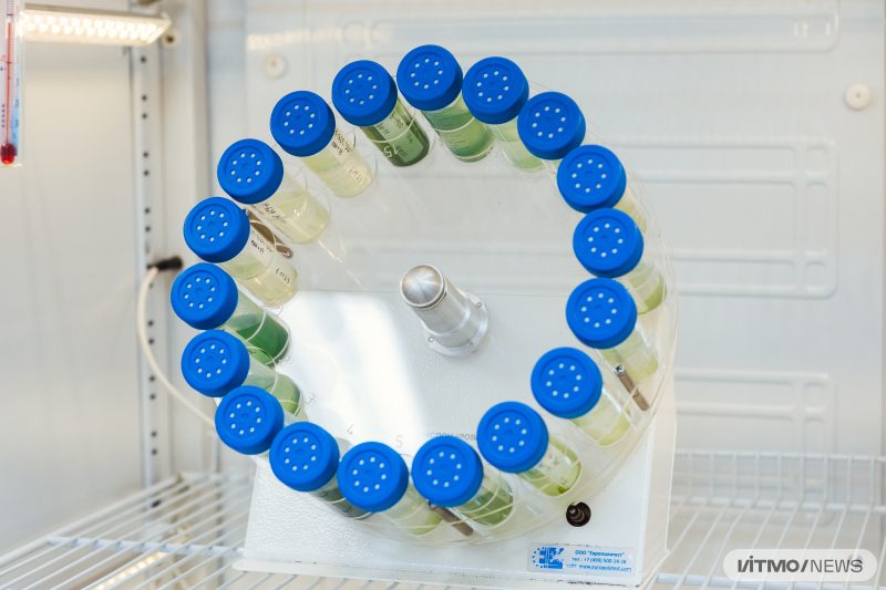 The setup for automatic calculation of microalgae cells concentration. Photo by Dmitry Grigoryev / ITMO NEWS
