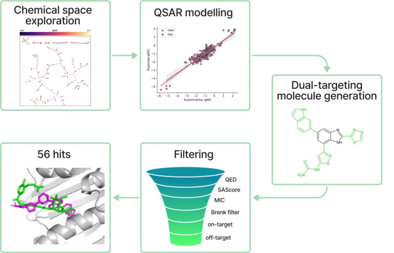 Этапы исследования: изучение химического пространства бензимидазола, построение предсказательной модели для прогнозирования активности, генерация молекул, оценка свойств и молекулярное моделирование. Изображение предоставлено Анастасией Орловой
