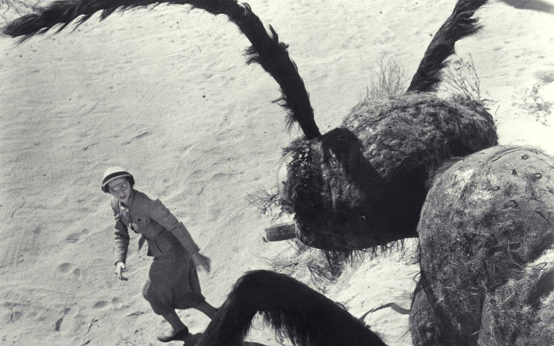 Them! (dir. Gordon Douglas, 1954), an early example of cinematic eco-horror, imagines a world where atomic bomb tests turn ants into giant monsters. Credit: Atom.D / flickr / CC0 1.0 (public domain image)
