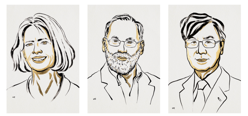 Мэри Э. Брункоу, Фред Рамсделл и Симон Сакагути. Источник: nobelprize.org
