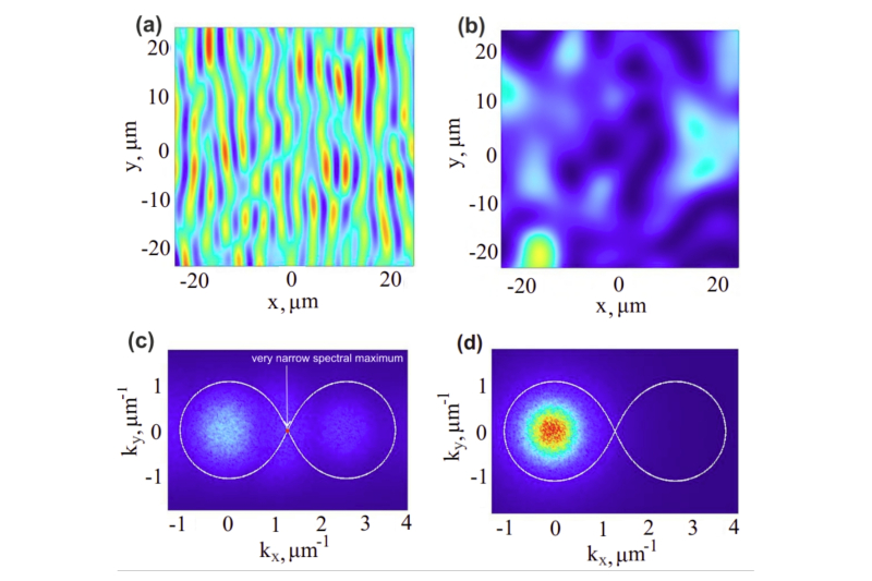 The changes in polariton condensate density and formation of new excitations. The modelling demonstrates how weak noise fluctuations lead to spatial modulations and a characteristic excitation range. Image courtesy of the researchers