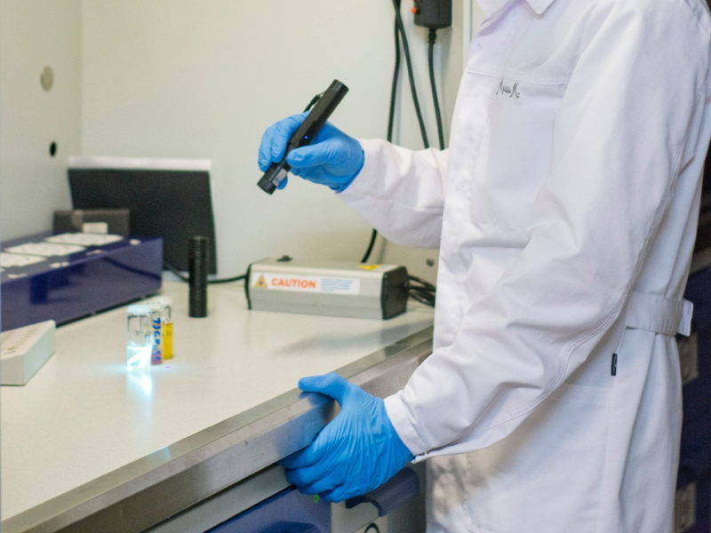 Фото: Анна Ведерникова
