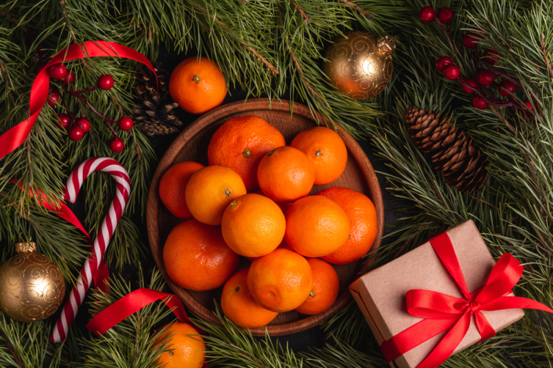 Источник:&nbsp;Tati_honey / Фотобанк Фотодженика
