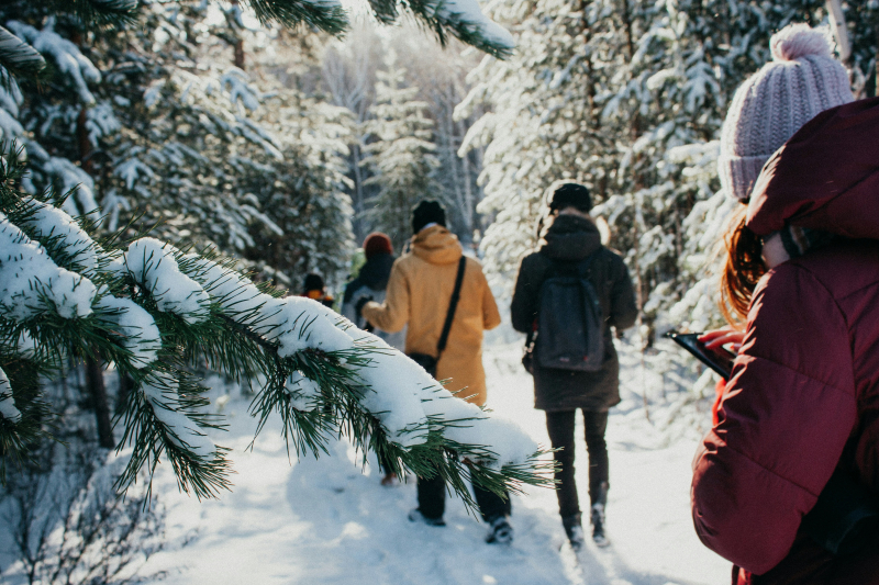 Credit:&nbsp;Александр Гурьев on Unsplash
