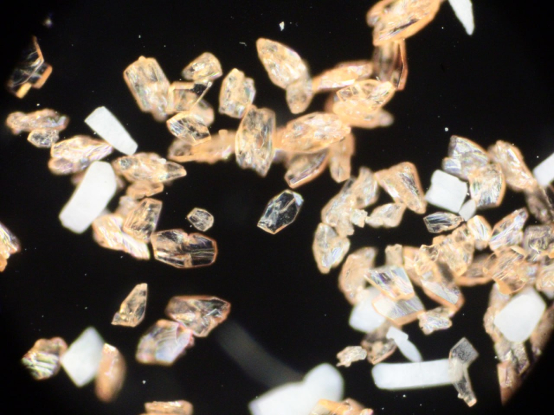 Авторы фото: Павел Алексеевский, Алёна Кулакова / Новый физтех ИТМО
