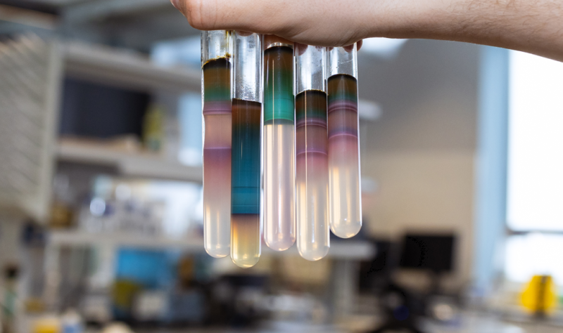 Фото: Дмитрий Григорьев / ITMO NEWS
