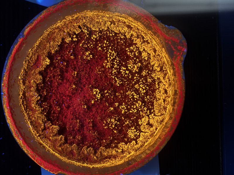 Авторы фото: Дмитрий Сбытов, Артемий Аверьянов, Кирилл Бороздин / НОЦ Инфохимии
