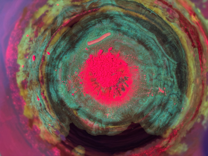 Авторы фото: Дмитрий Сбытов, Артемий Аверьянов, Кирилл Бороздин / НОЦ Инфохимии
