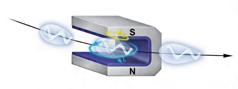 В магнитном поле циклического ускорителя или магнита спин электрона S и его орбитальный угловой момент (&laquo;закрученность&raquo;) L прецессируют &mdash; вращаются вокруг магнитного поля с разной частотой. Источник: Дмитрий Карловец
