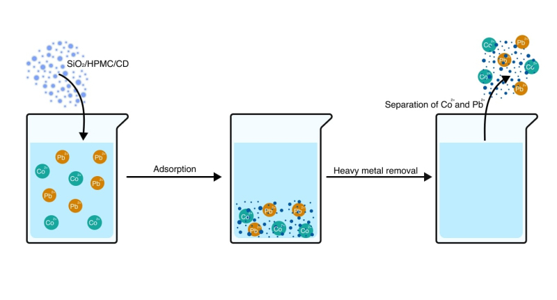 Sorbent operating mechanism: as it is immersed in stagnant polluted water, it adsorbs heavy metals onto its surface, and is then removed from the aqueous environment. Photo courtesy of the researcher
