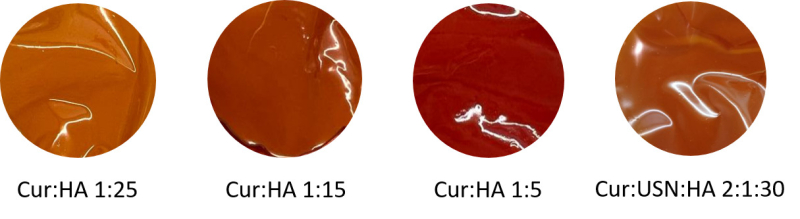 Samples of hyaluronic acid-based films loaded with natural bioactive agents. Photo by Dmitry Grigoryev / ITMO NEWS
