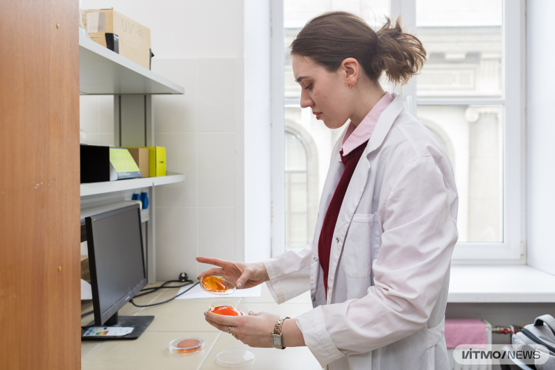 Polina Serbun with samples of hyaluronic acid-based films loaded with natural bioactive agents. Photo by Dmitry Grigoryev / ITMO NEWS
