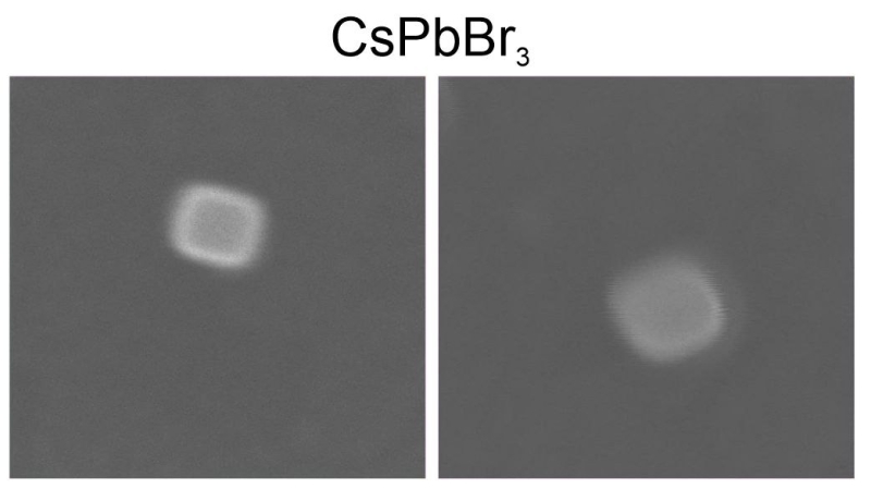 Images of nanoparticles in an electron microscope. Credit: the paper's authors
