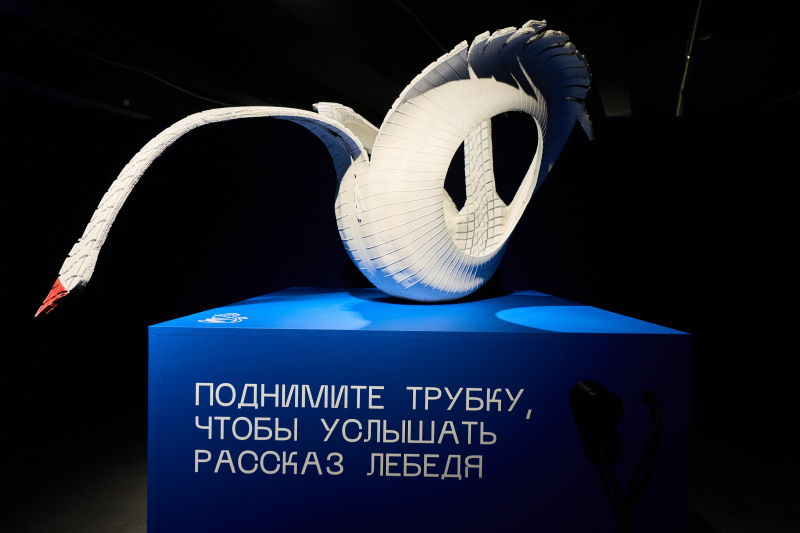 Выставка &laquo;Ученые дамы. Наука без разрешения&raquo;. Фото: Tigra Films
