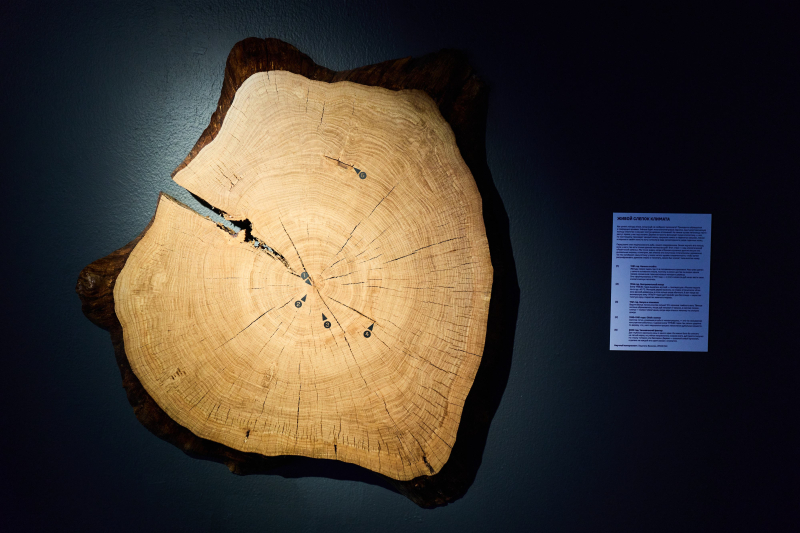 Выставка &laquo;Ученые дамы. Наука без разрешения&raquo;. Фото: Tigra Films
