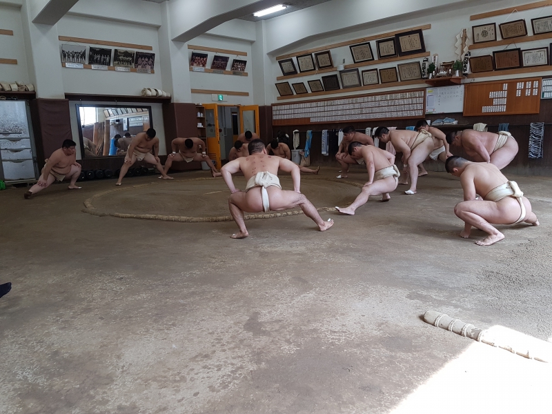 Тренировка борцов сумо