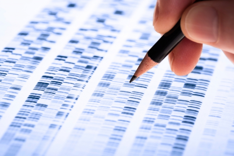 DNA analysis. Credit: shutterstock.com