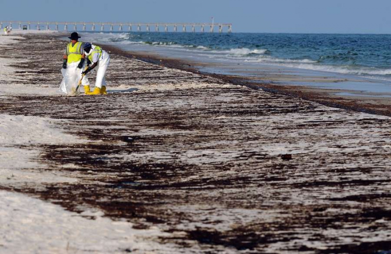 Consequences of an oil spill in the Pacific Ocean. Credit: tampabay.com