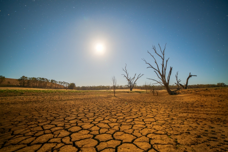 Иссушение пустыни, следствие эффекта Эль-Ниньо