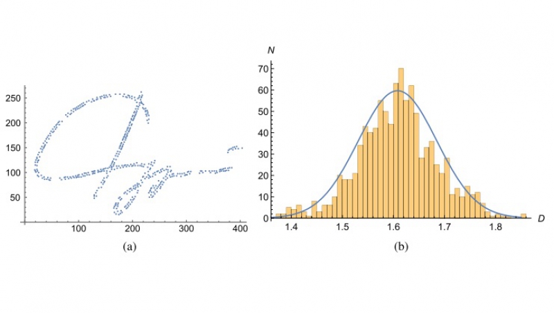 Дискретизация подписи (а) и распределение размерности Минковского (b). Источник: aip.scitation.org
