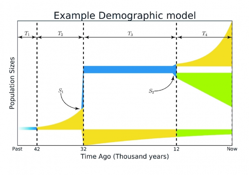 Example of a demographic history model