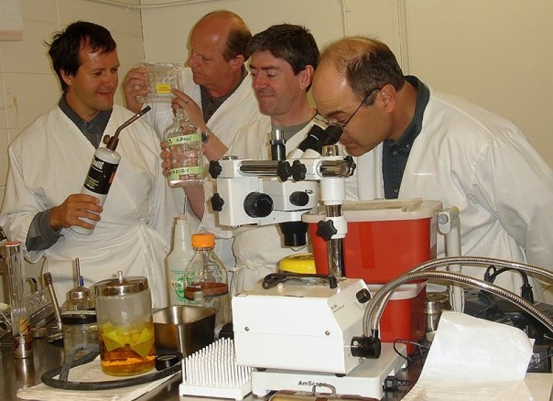 Группа профессора Александра Ребане в университете штата Монтана в биолаборатории партнеров-микробиологов. Фото предоставлено Николаем Макаровым