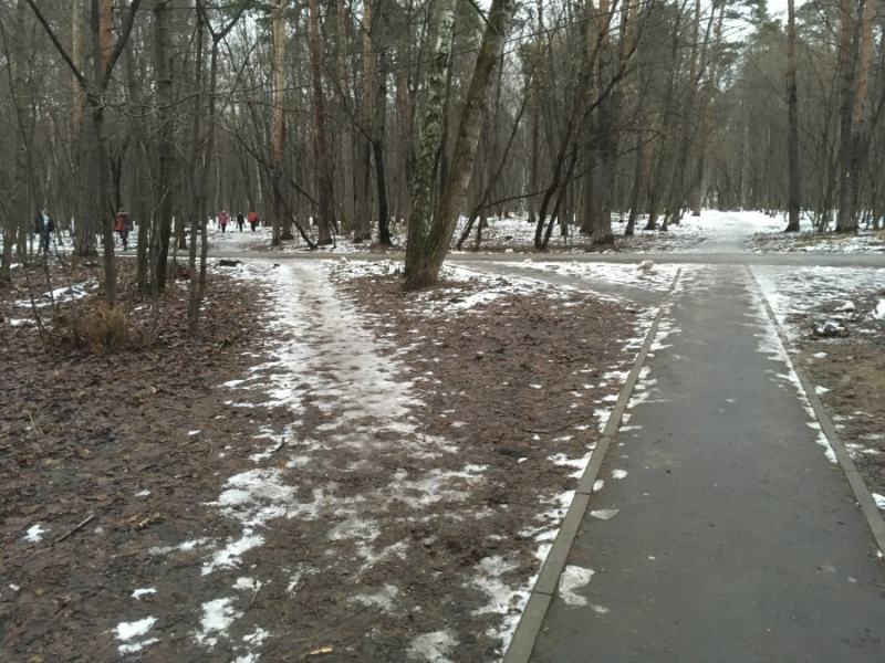 A desire path. Credit: antroadplanner,ru