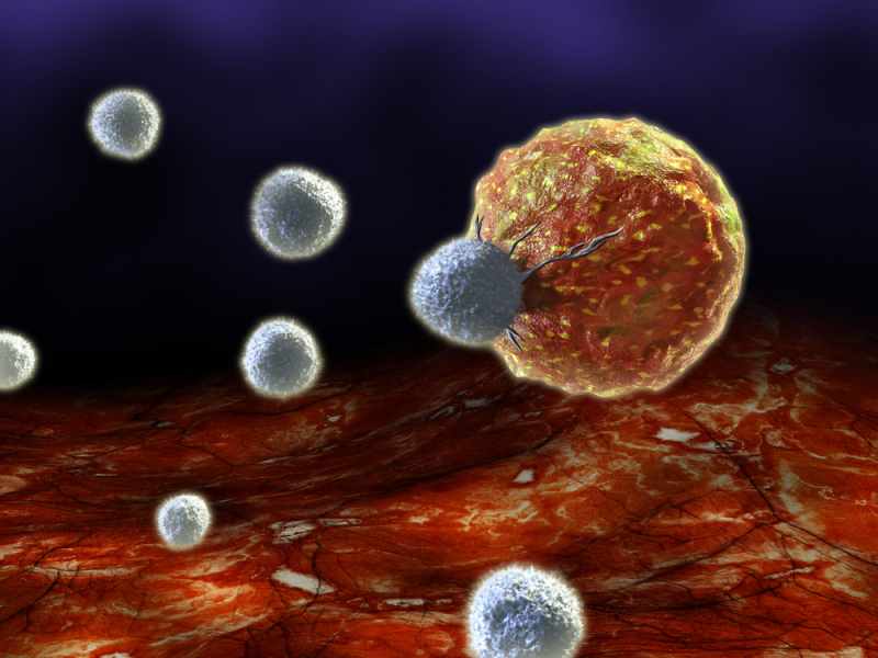 T-killer cells. Credit: shutterstock.com