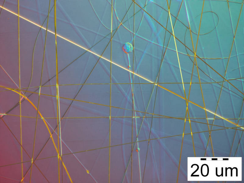 Микрофотография волокон, полученных с использованием оптического микроскопа. Фото предоставлено авторами статьи