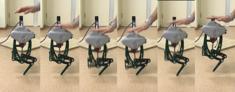 Прототип ноги энергоэффективного галопирующего робота, параметры которого были оптимизированы на основе эволюционных алгоритмов 
