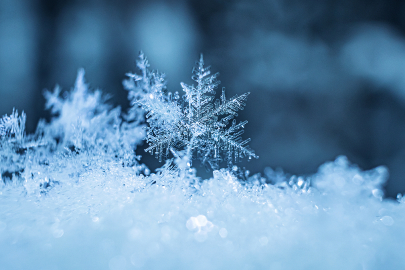 Watermelon Snow and Palm-Size Snowflakes: Exciting Facts About Snow