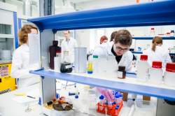 ITMO Fellowship: ITMO Launches New Postdoc Track for Young Scientists Across Russia