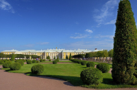 This Week in St. Petersburg: July 30 - August 4, 2026