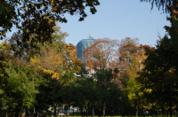 This Week in St. Petersburg: October 8-14, 2026